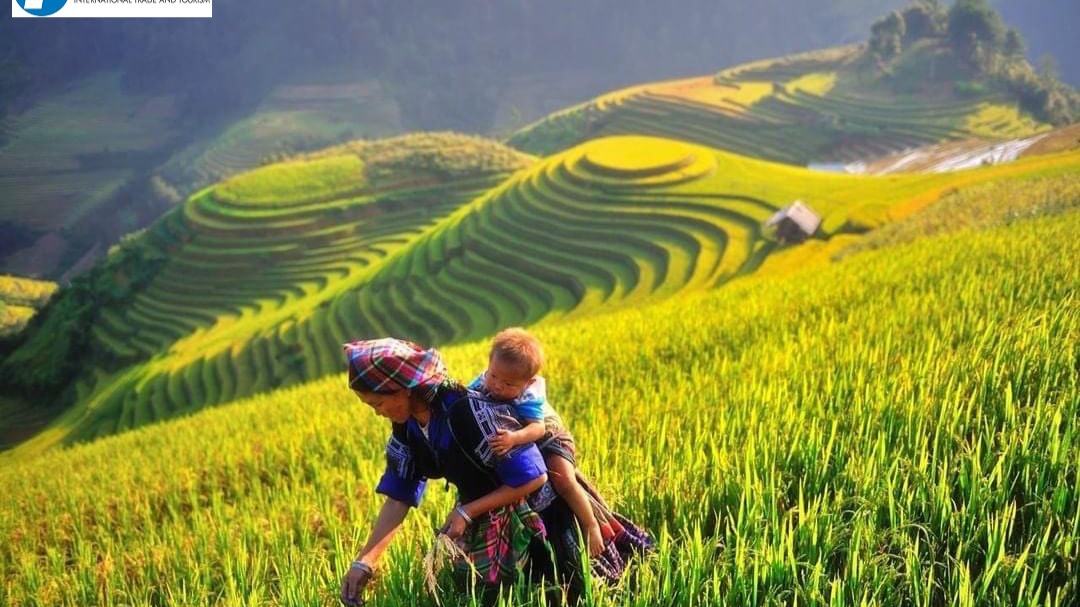 HÀ GIANG - CAO NGUYÊN ĐÁ ĐỒNG VĂN ĐÈO MÃ PÌ PÈNG - CỘT CỜ LŨNG CÚ - BẢN LÔ LÔ CHẢI - Image - 13264